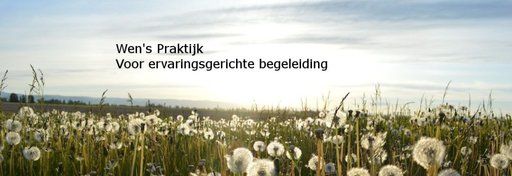 Logo Wen 's Praktijk voor ervaringsgerichte begeleiding